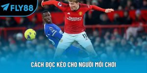 cách đọc kèo cho người mới chơi