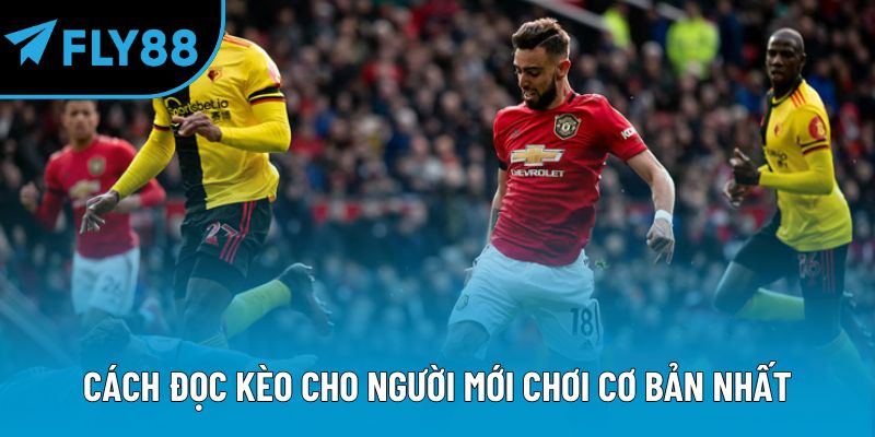 Cách đọc kèo cho người mới chơi cơ bản nhất