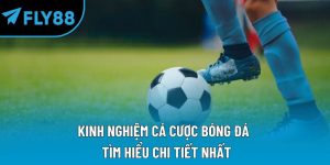 kinh nghiệm cá cược bóng đá